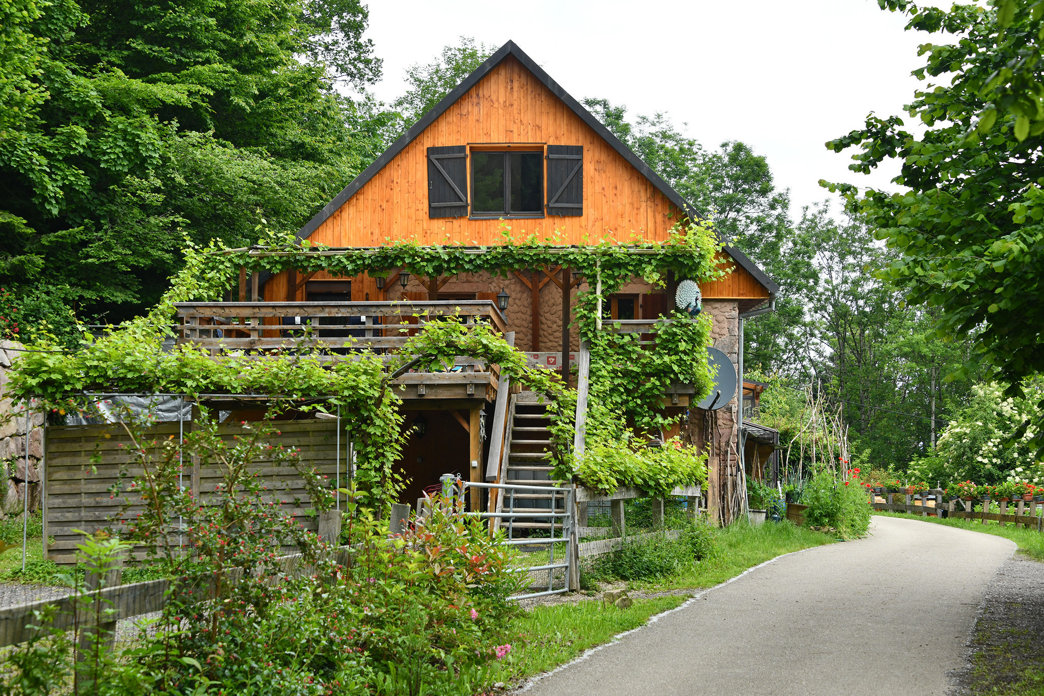 Le gîte du paon