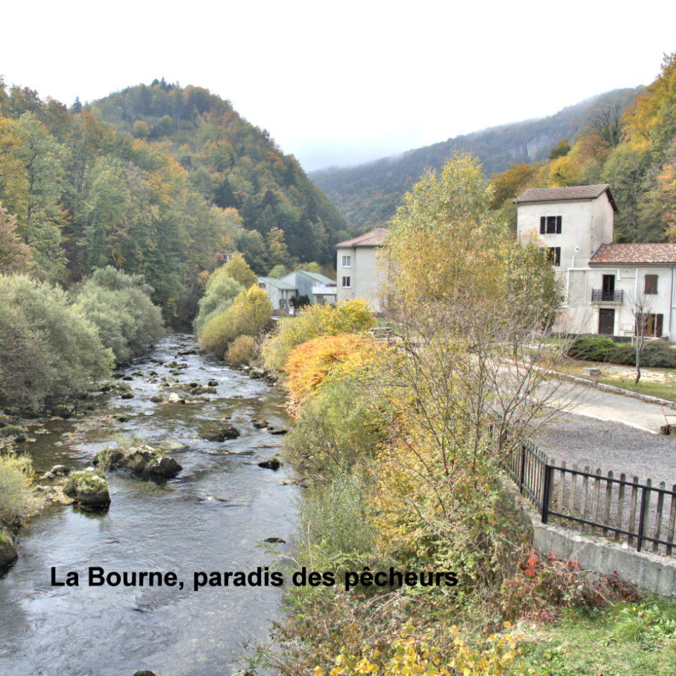 GreenGo location vacances écoresponsables