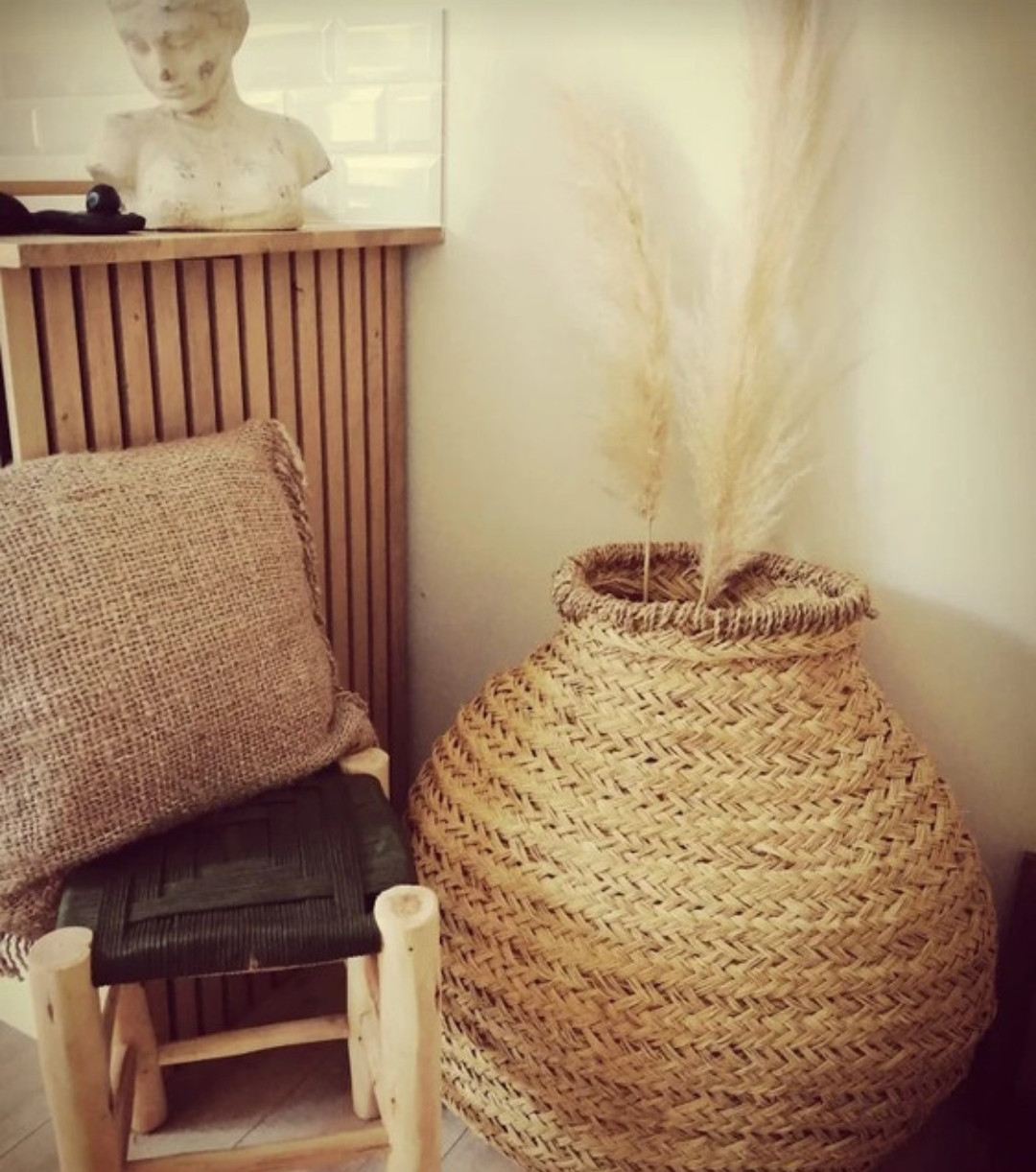 GreenGo Cocoon