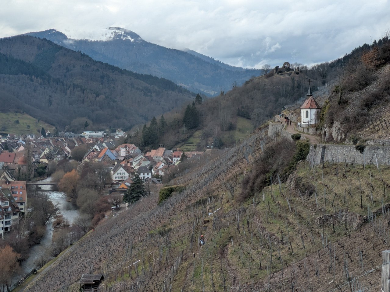 GreenGo Appartement cosy entre ville et vignes
