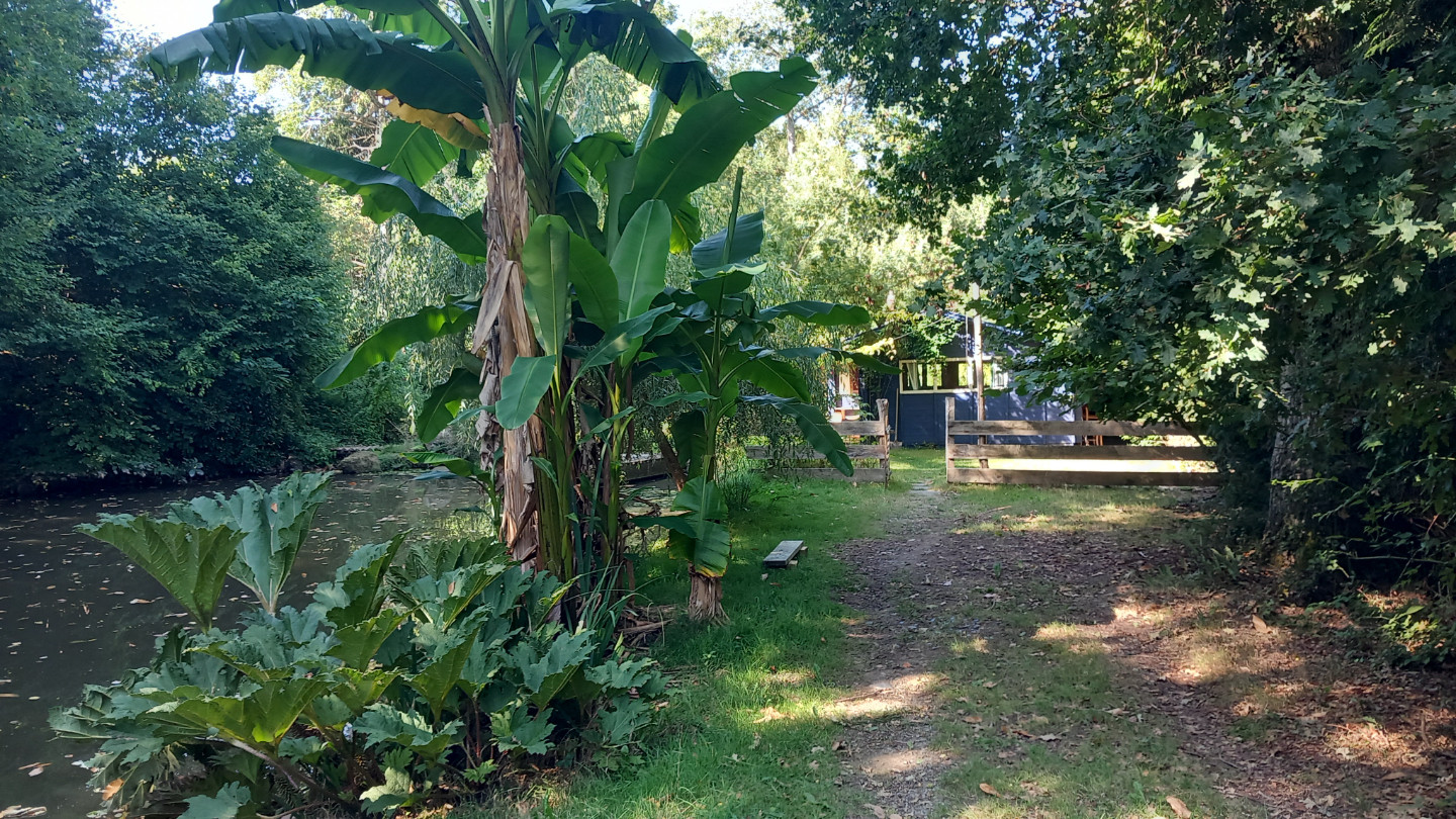 Logement insolite Mayenne À la campagne