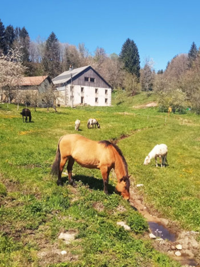 orderedImageAlt_accommodation_default