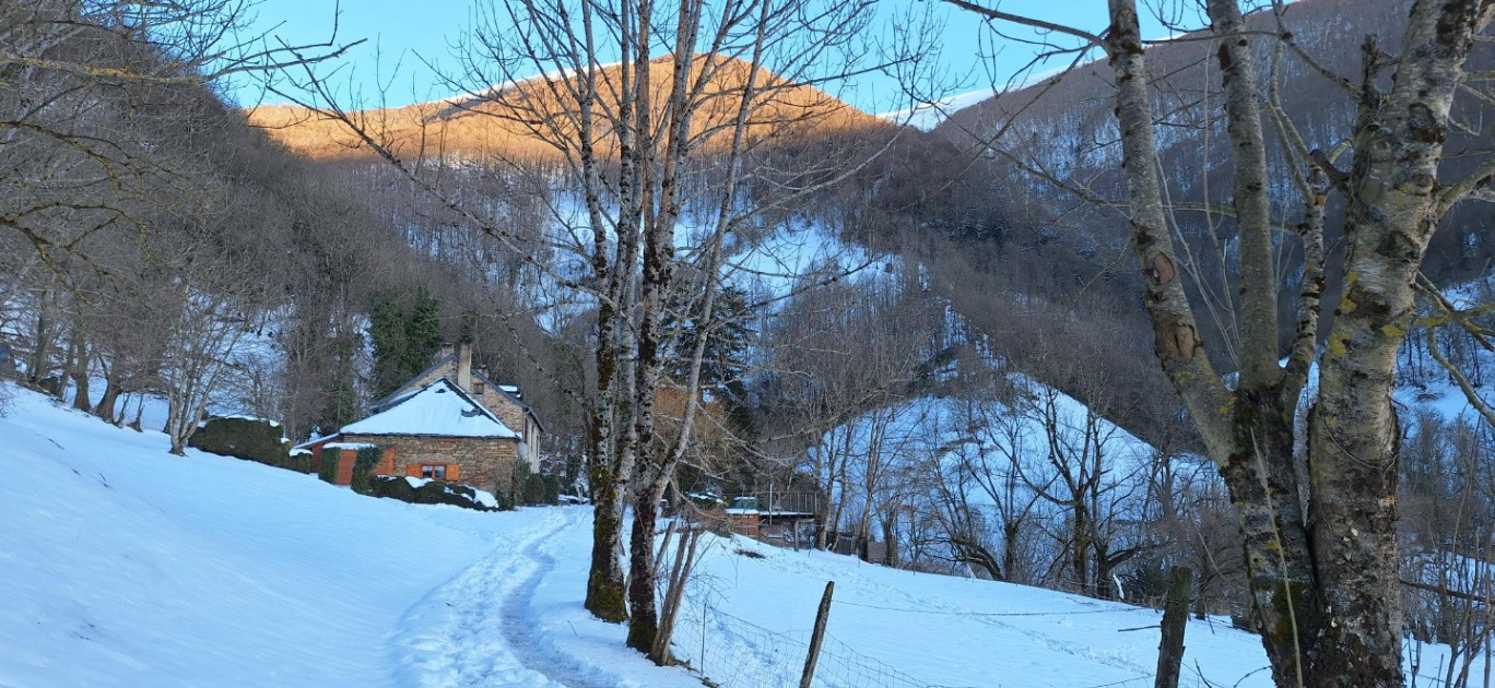 GreenGo Gîte Occitanie Évasion