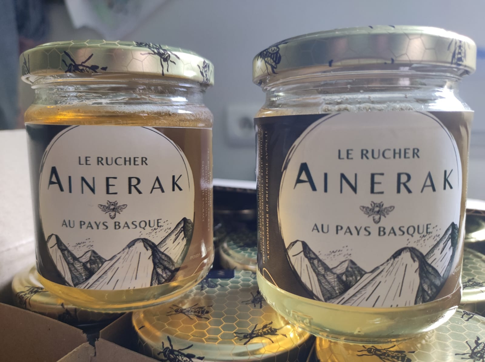 Location Pyrénées-Atlantiques Gîte de groupe