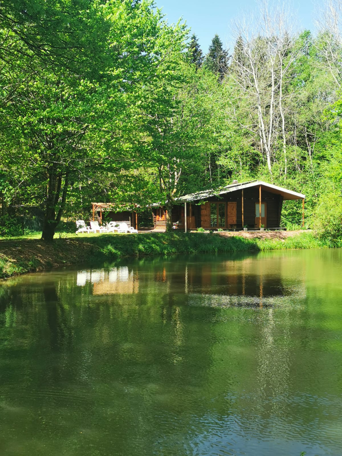 Hôte GreenGo: Chalet avec étang proche Vosges, Lunéville, Nancy et Pierre Percée. les sources de Ger-Waldan