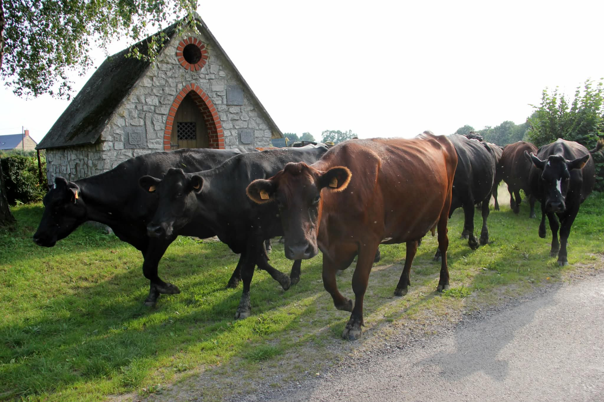 Hôte GreenGo: Tiny housse à la ferme 100% Déconnexion
