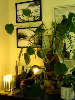 GreenGo La maison au jardin