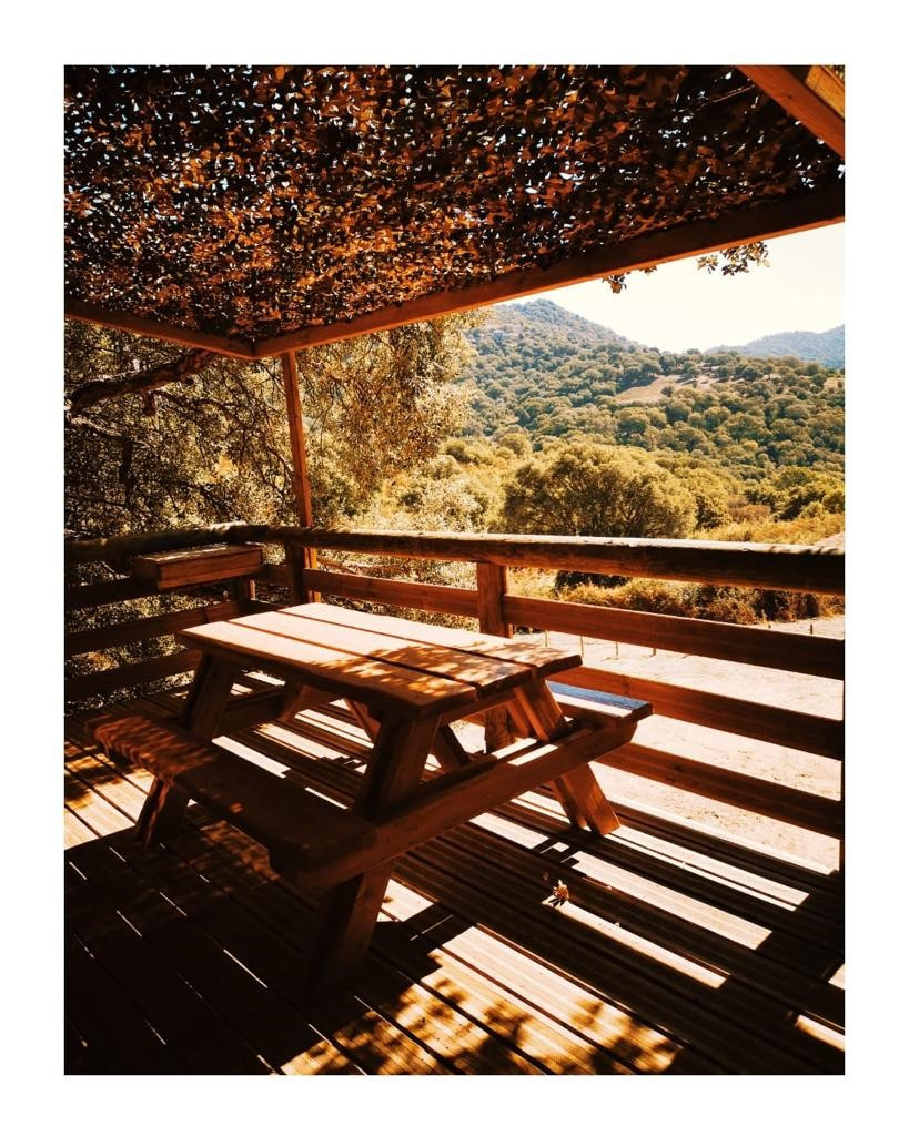 GreenGo location vacances écoresponsables