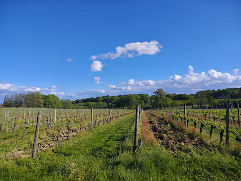 GreenGo Gîte Nouvelle-Aquitaine Évasion