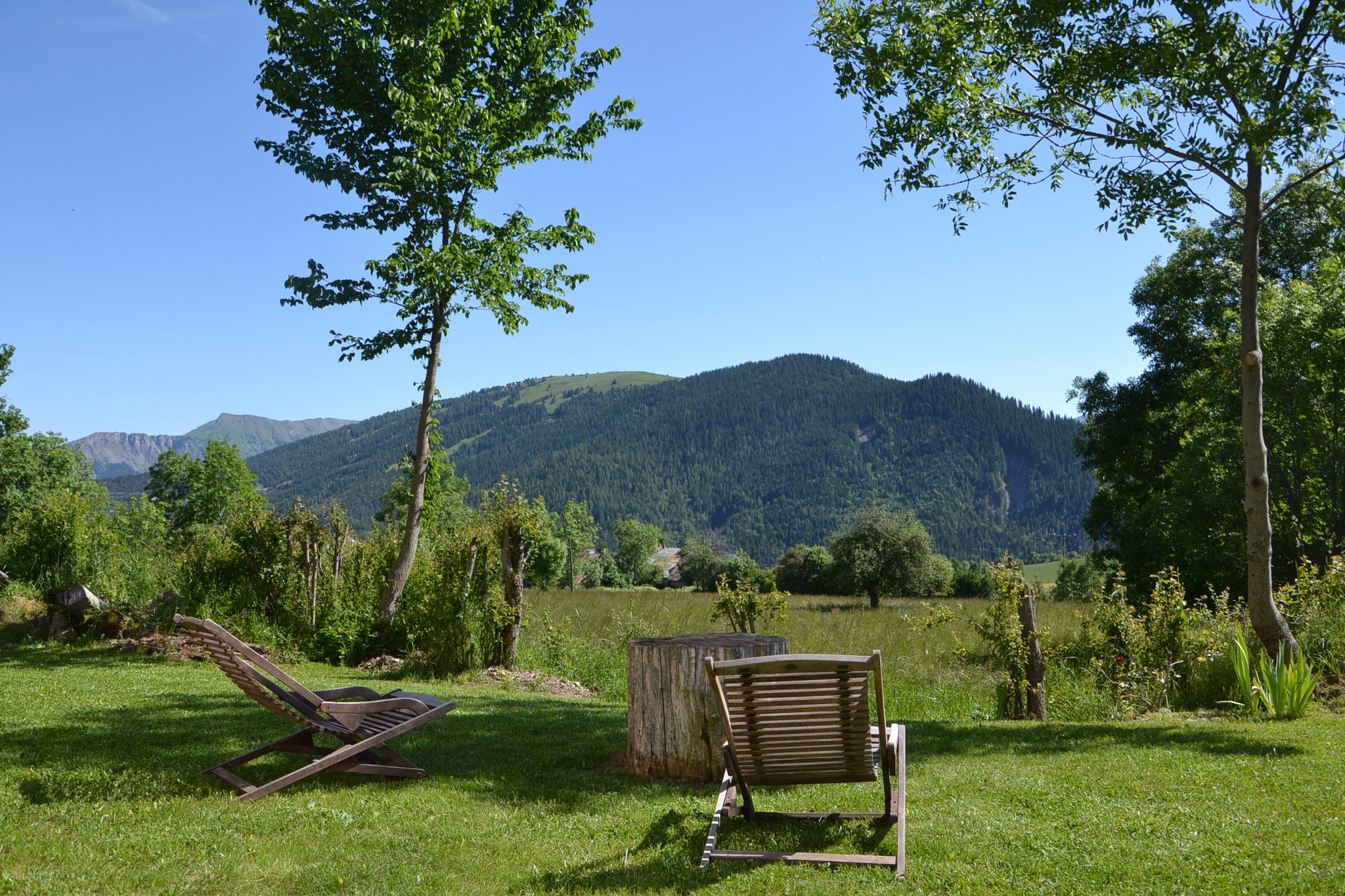 Location Alpes-de-Haute-Provence À la campagne