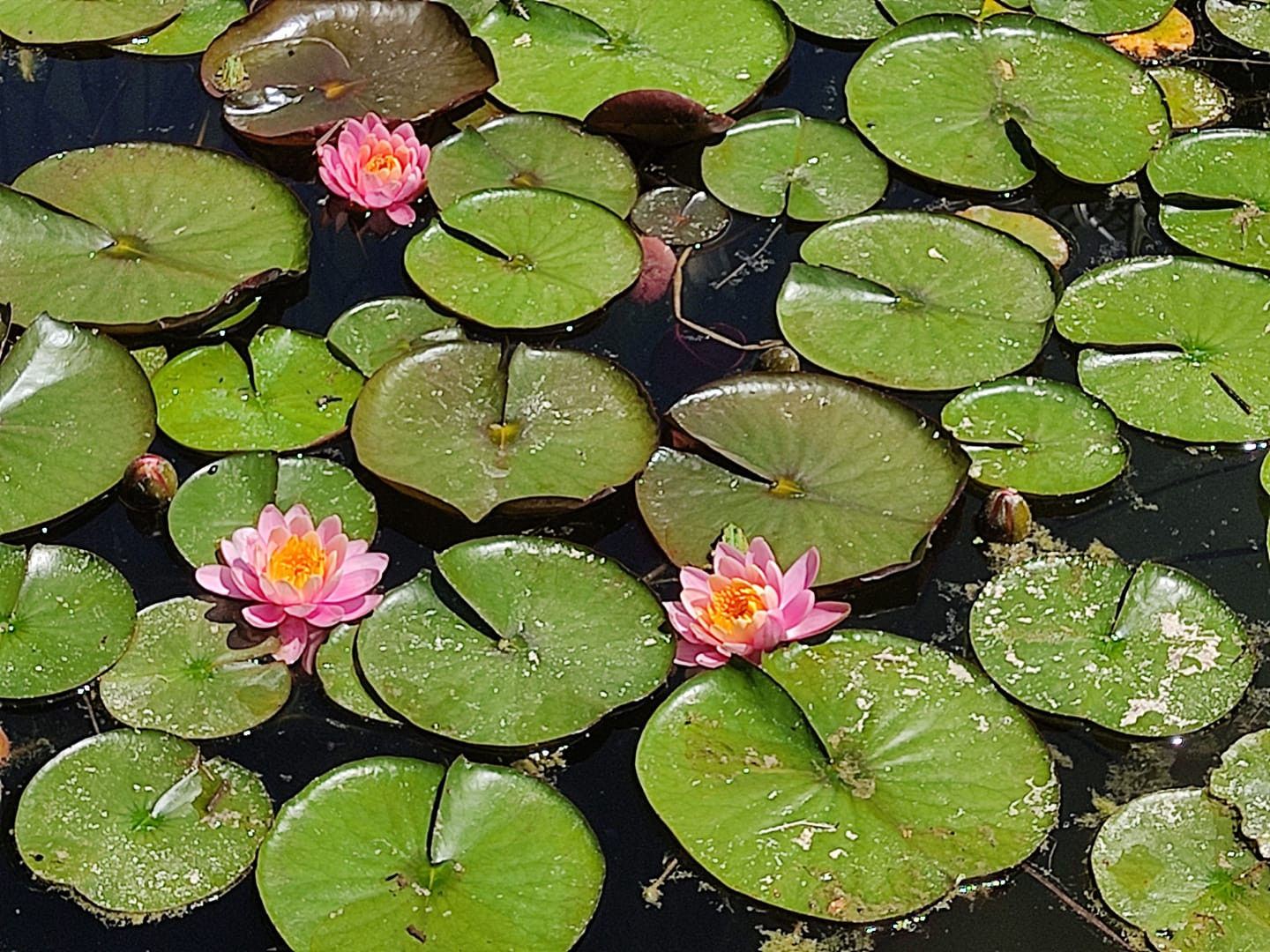 GreenGo Gîte Centre-Val de Loire À la campagne