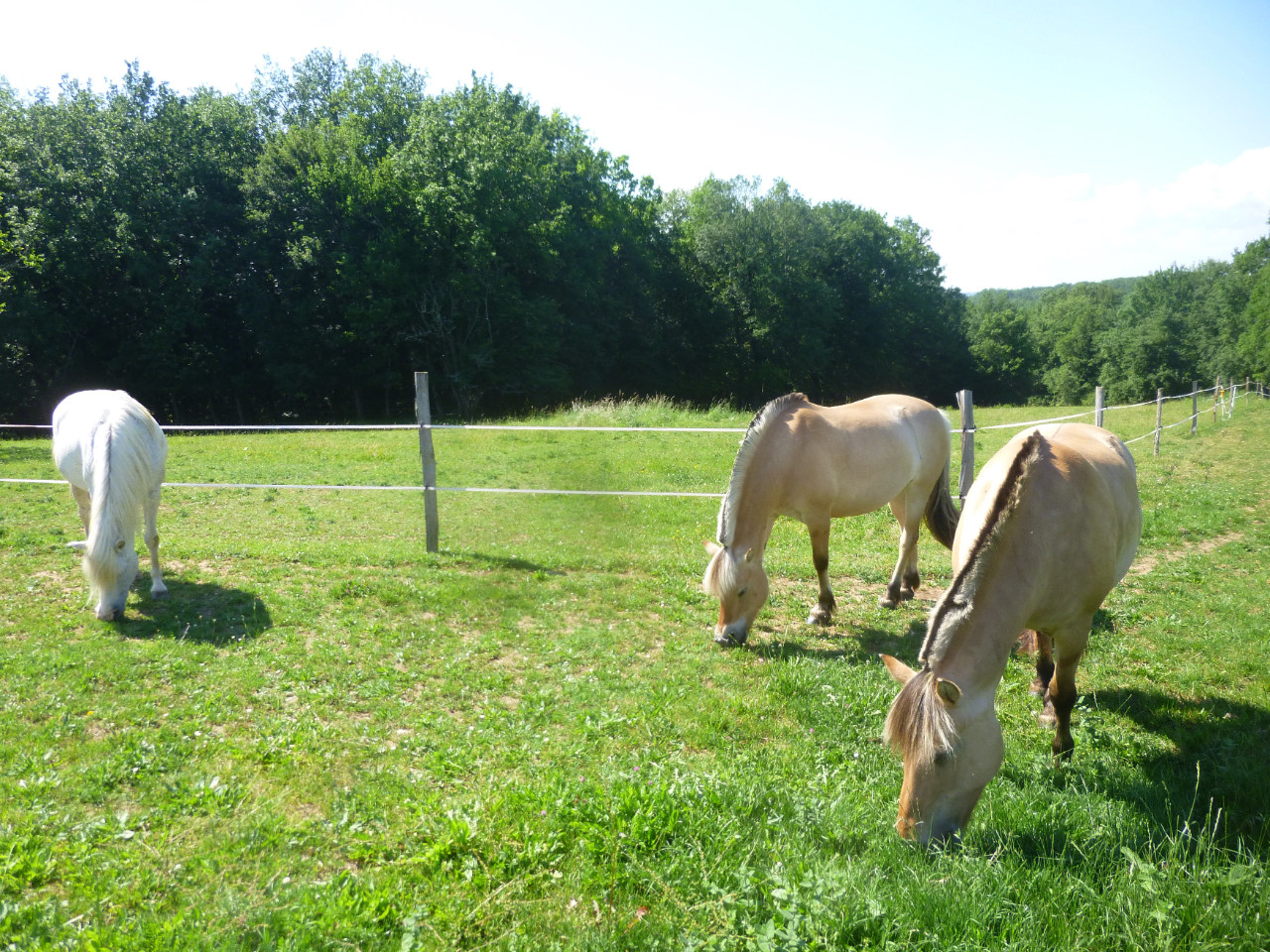 GreenGo Gîte Nouvelle-Aquitaine Haut-de-gamme