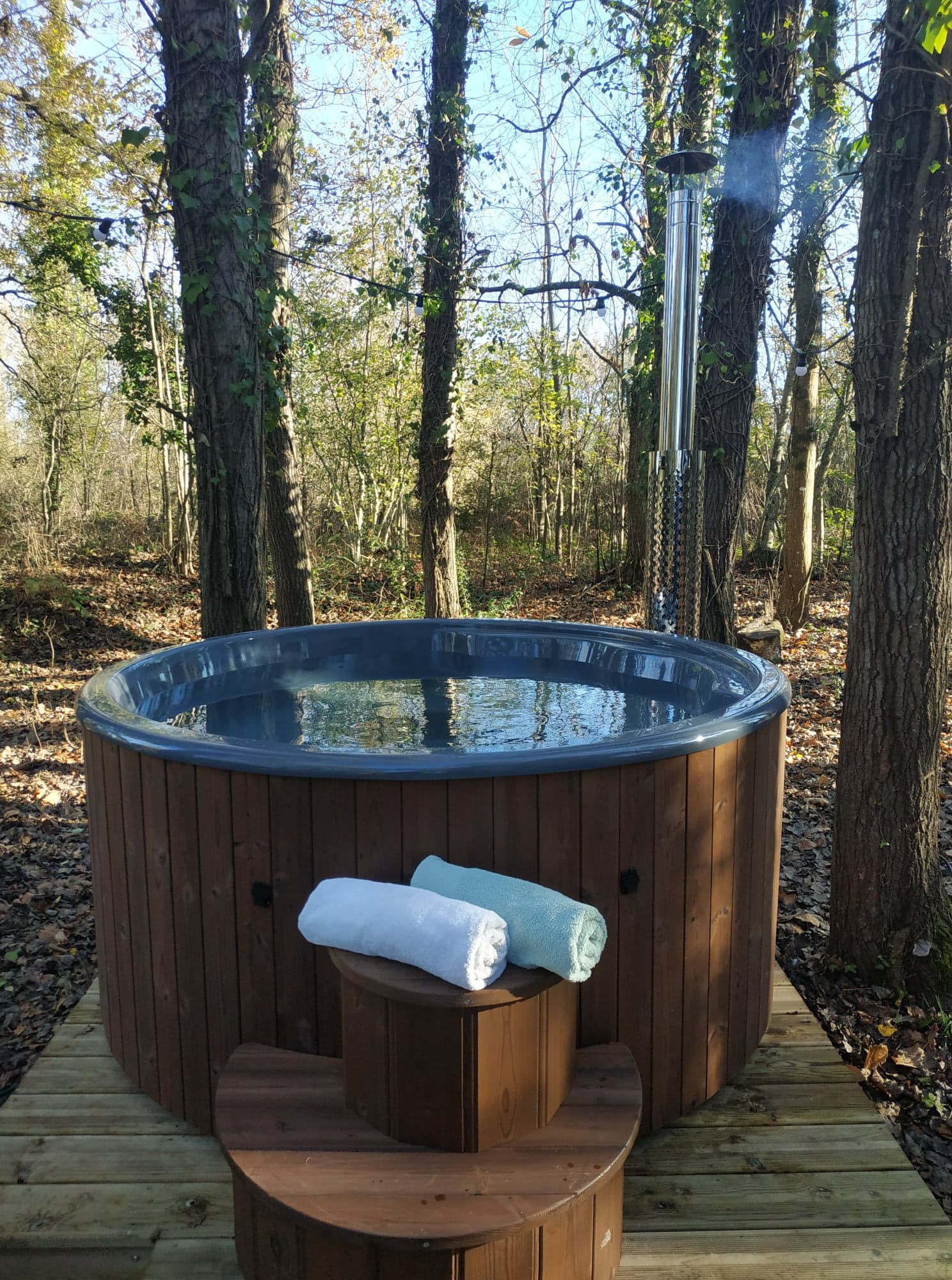 GreenGo Tiny House et son bain nordique dans les bois