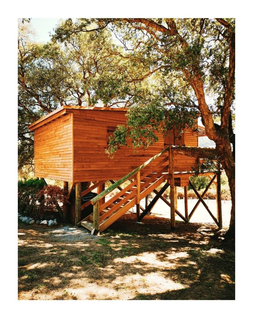 GreenGo Logement insolite Corse Évasion