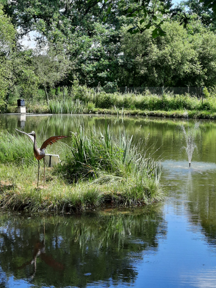 Les étangs du cygne noir