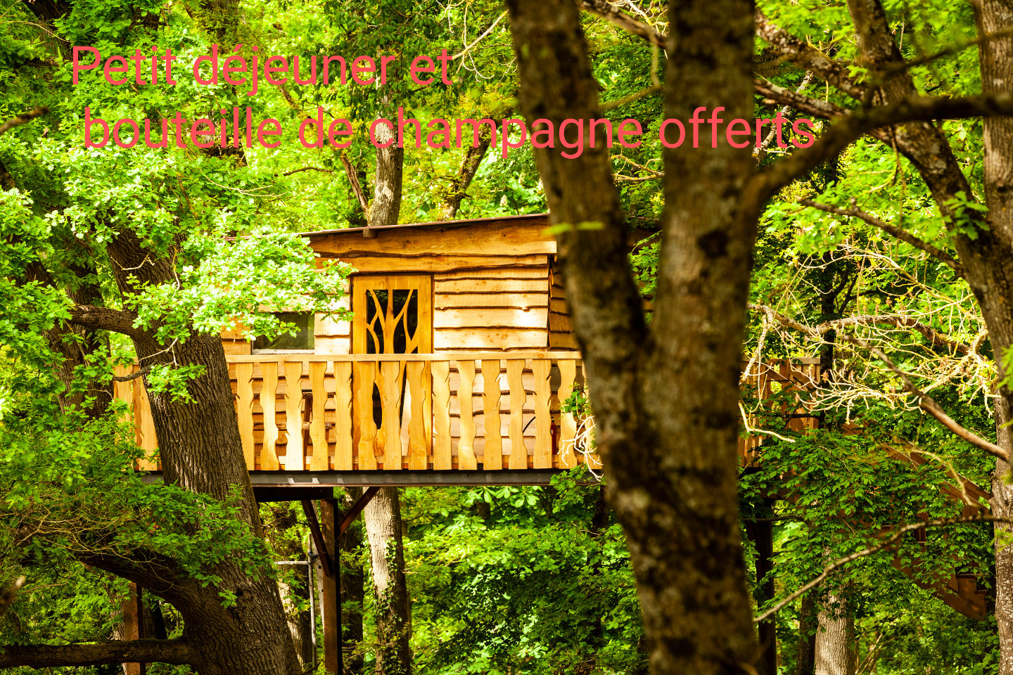 Hôte GreenGo: Chez Yahmz Cabane Perchee
