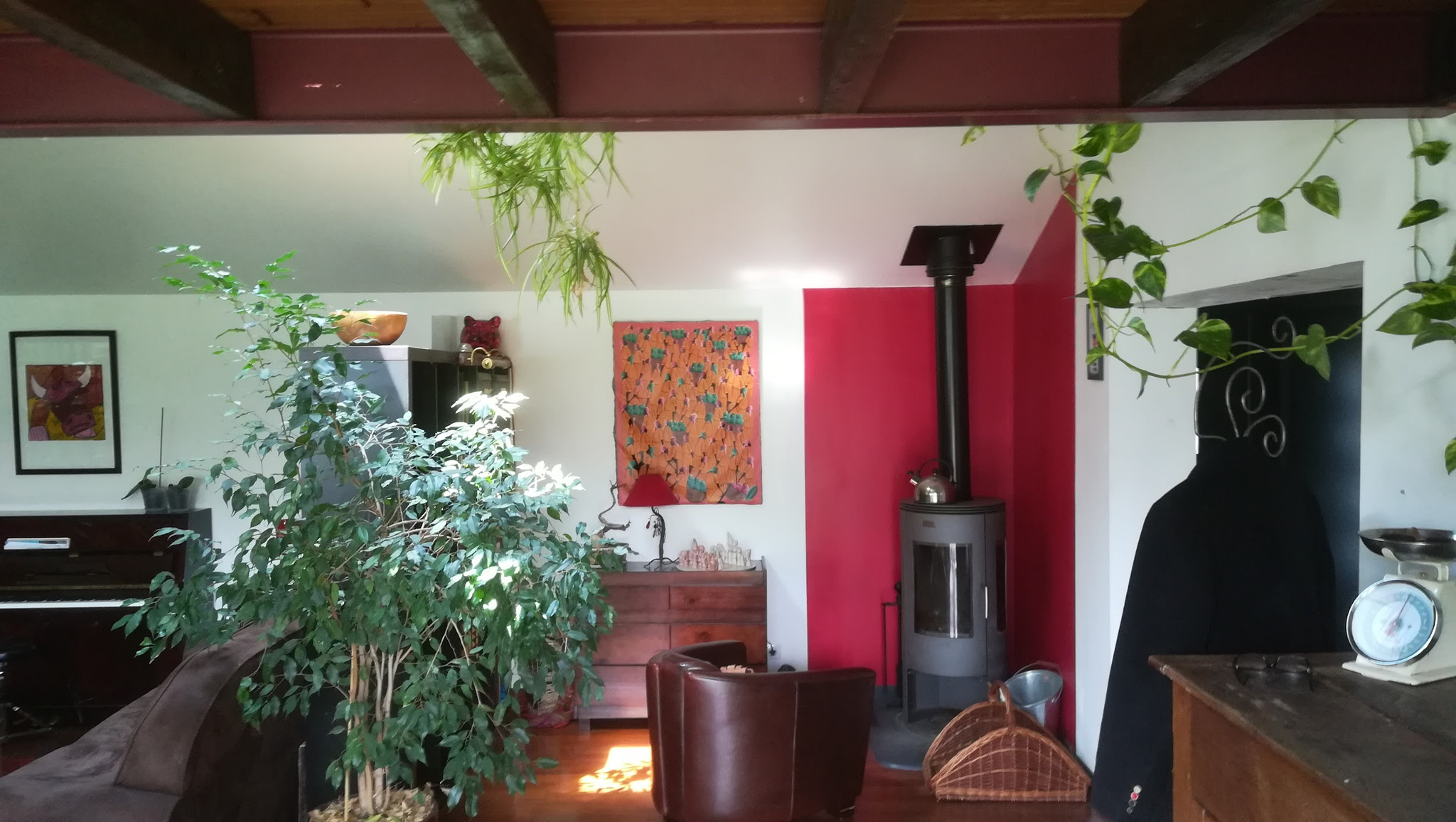 GreenGo Location Nouvelle-Aquitaine Sportif