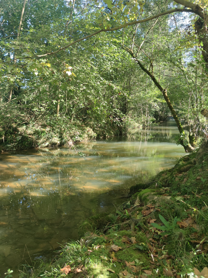GreenGo location vacances écoresponsables