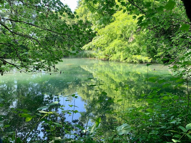 Logement GreenGo: Chalet au bord de l’eau et des chevaux