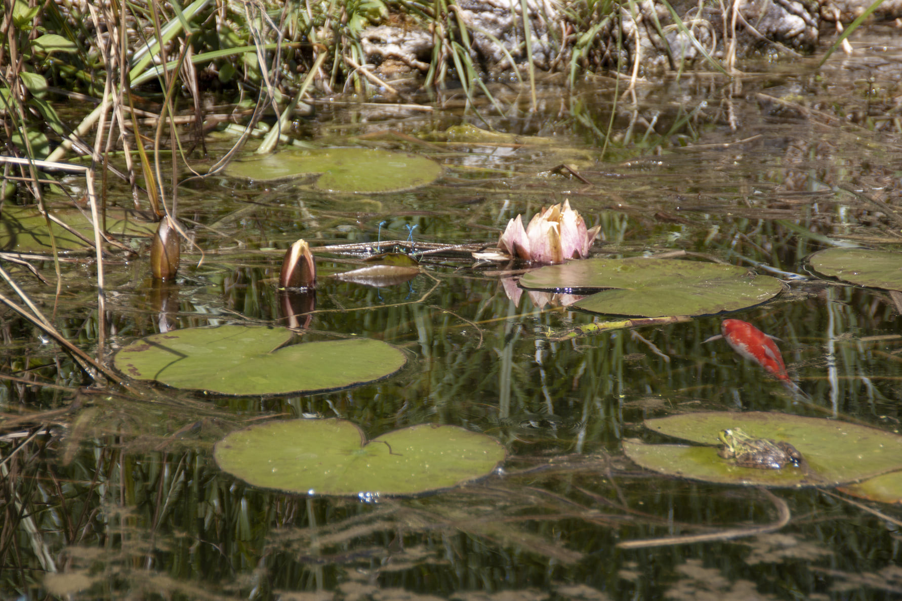 Location Indre-et-Loire Romantique