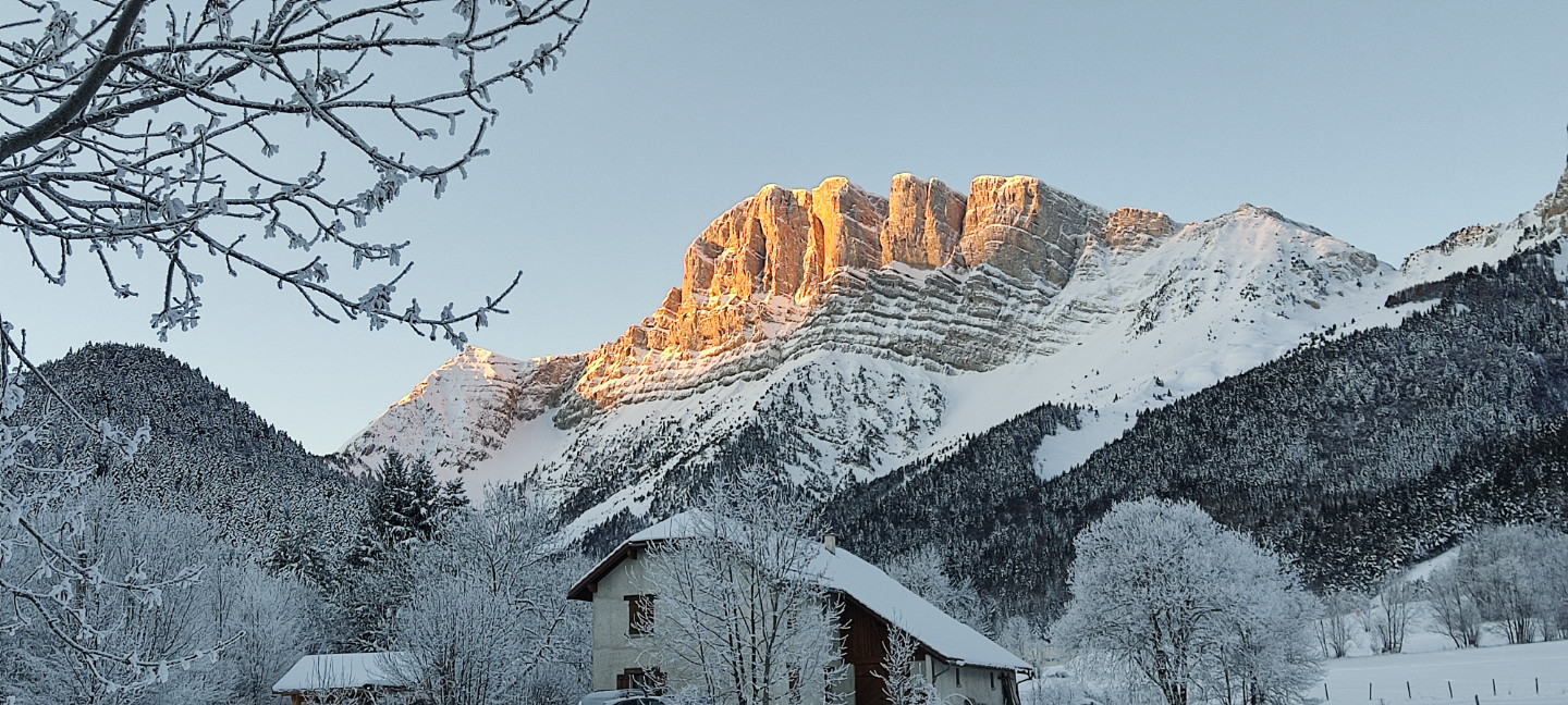 Les Violettes du Grand Veymont