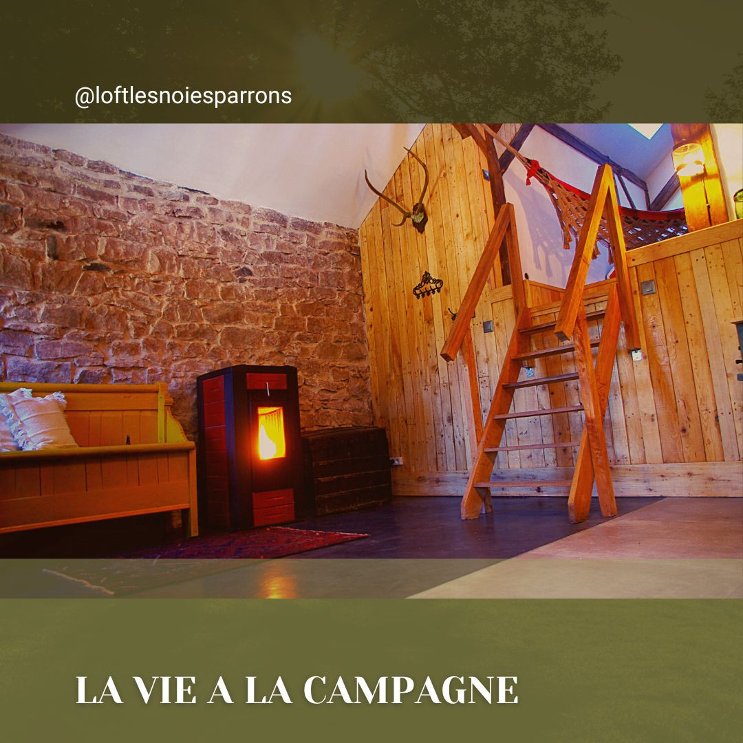 GreenGo Loft des Noies Parrons