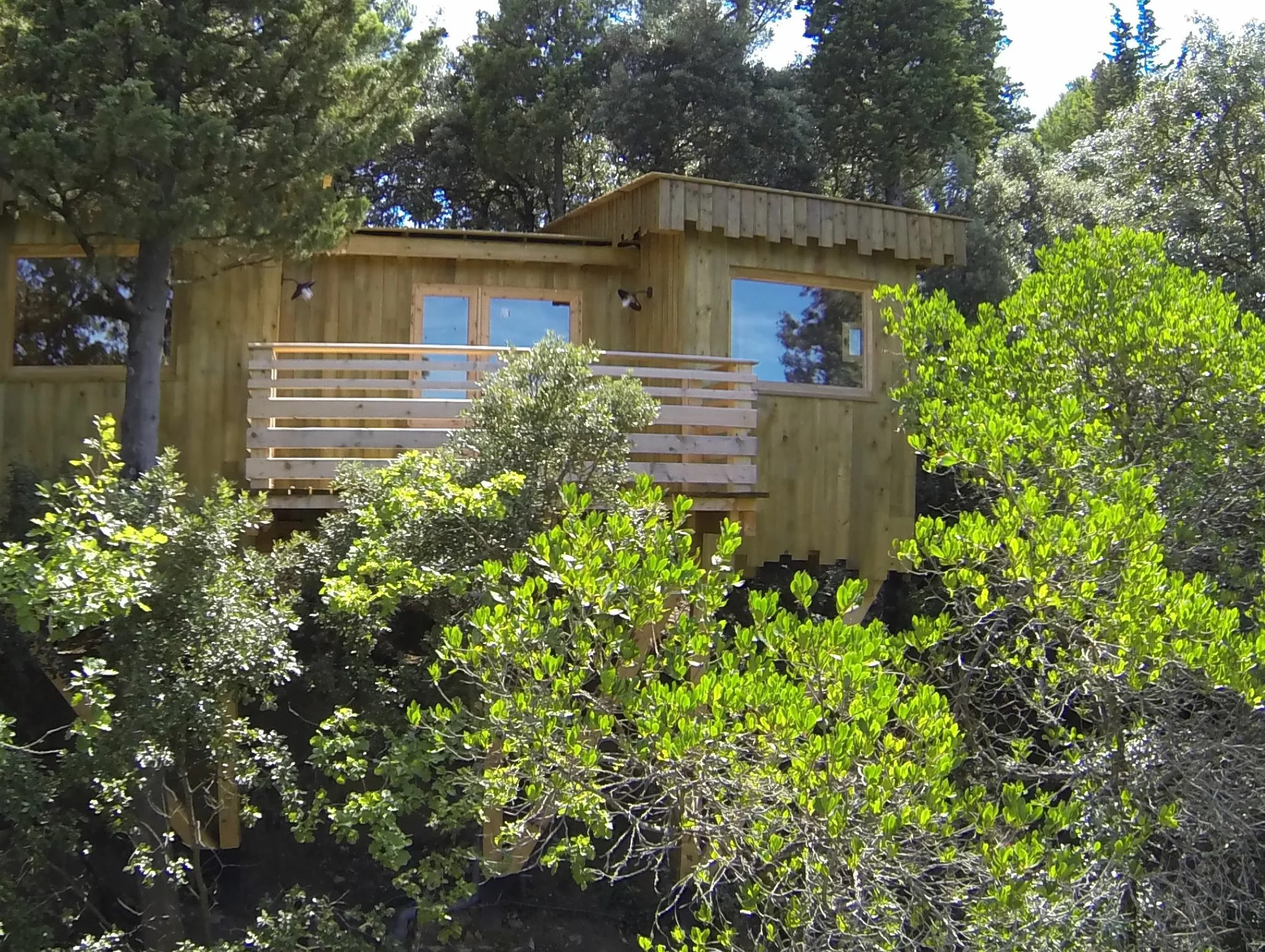 orderedImageAlt_accommodation_default