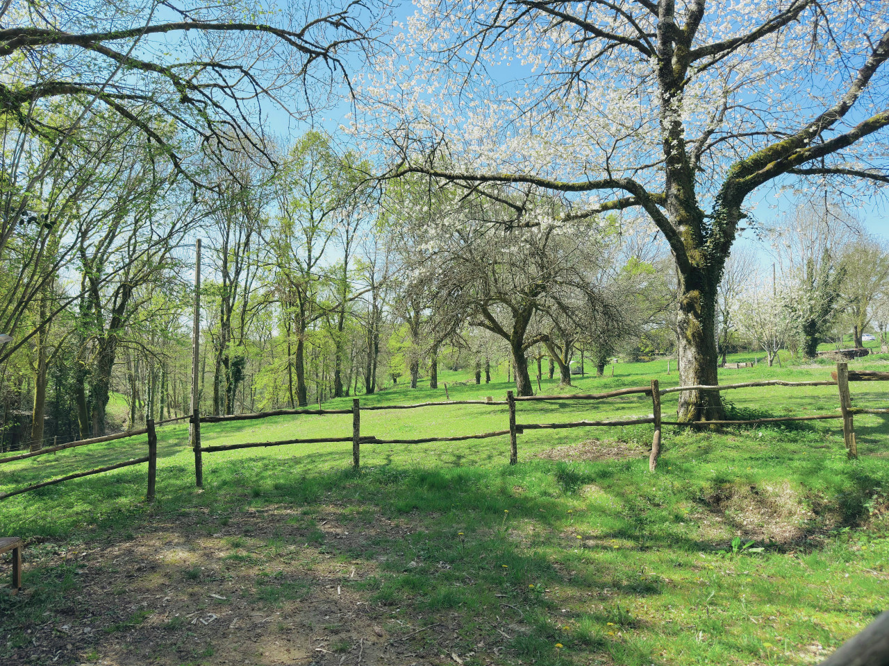  Corrèze À la campagne