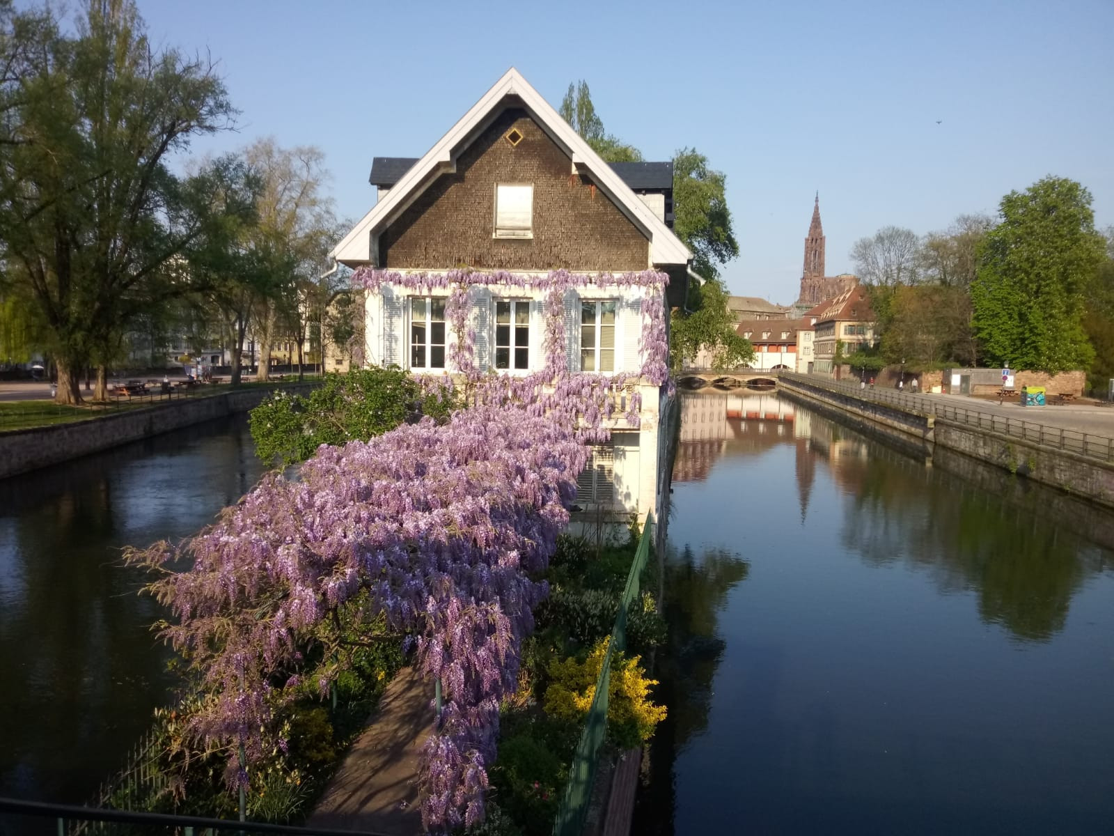 Logement GreenGo: Sous les toits de Strasbourg