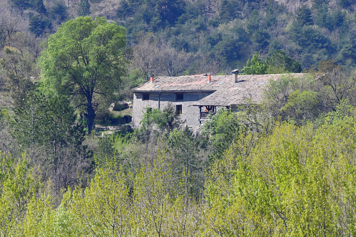 Hôte GreenGo: "Serre de Marie", ferme en plein nature.