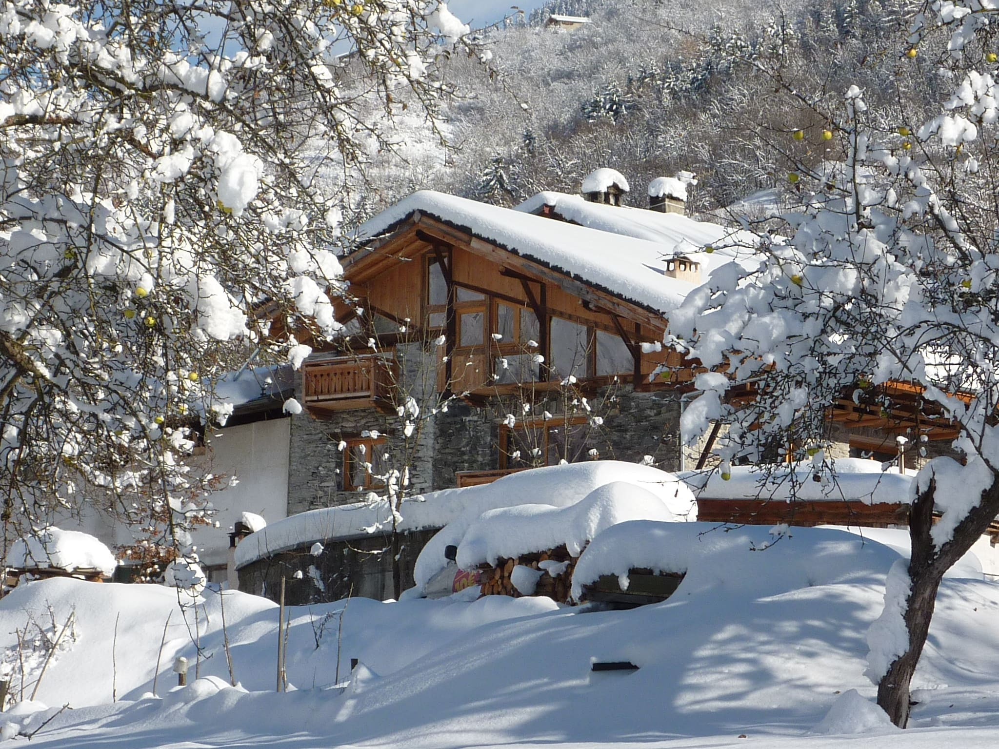 Hôte GreenGo: Eco Chalet  Nature Ski Lodge Sterwen 16 personnes les Arcs Paradiski sauna skibus Arc 1600