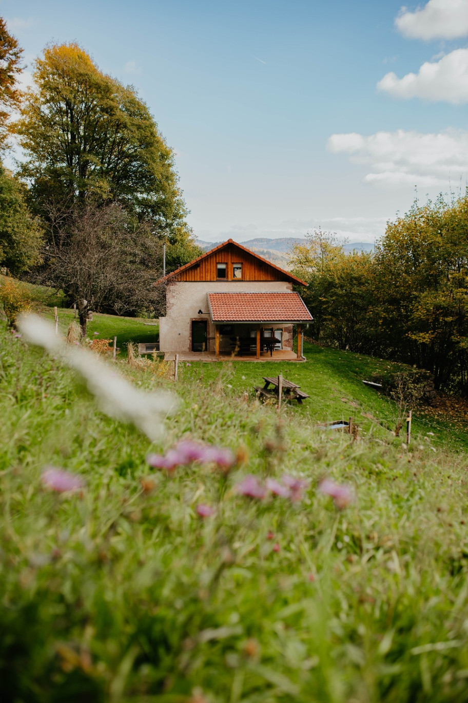 Vosges En forêt