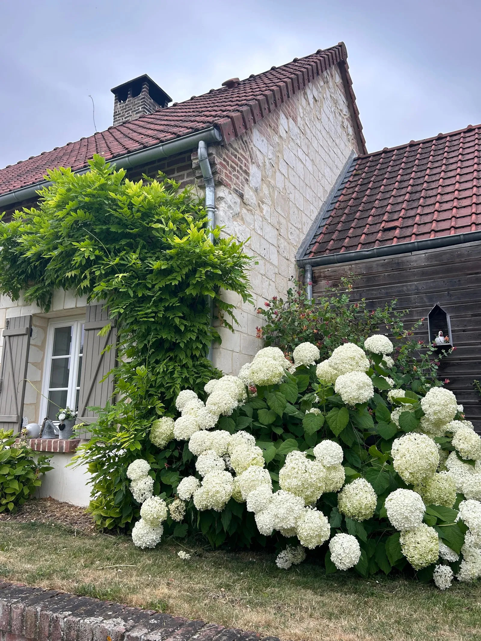 GreenGo Gîte Hauts-de-France À la campagne