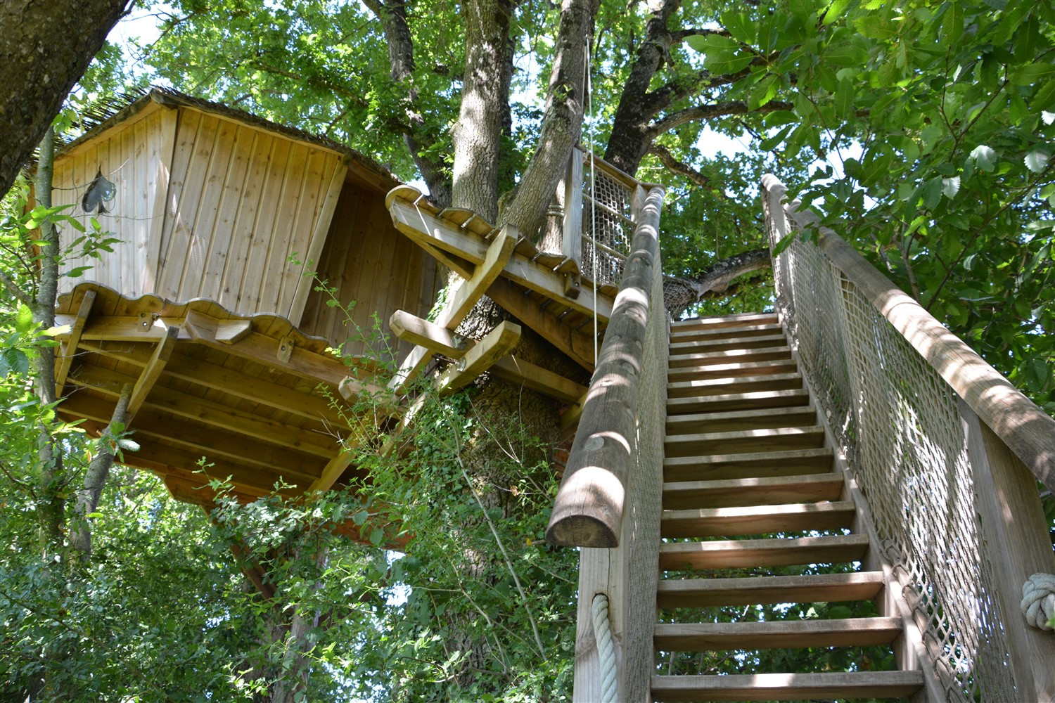 Logement GreenGo: Cabane perchée des Cartes