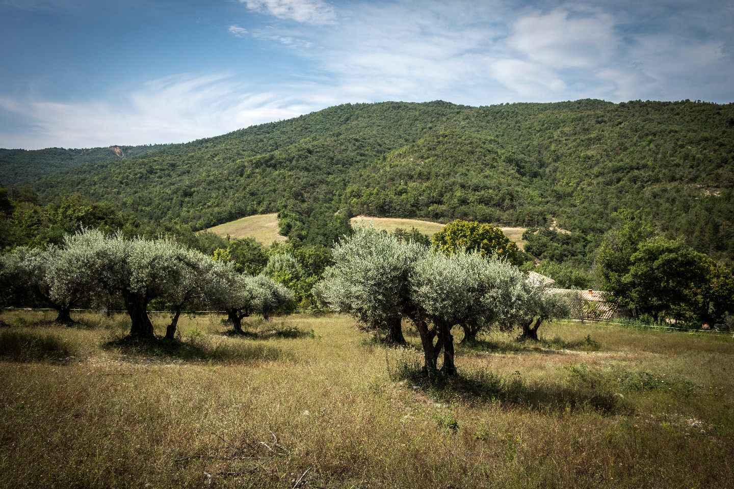 Location Alpes-de-Haute-Provence Rustique