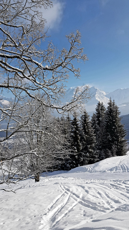Le balcon du Mont Blanc