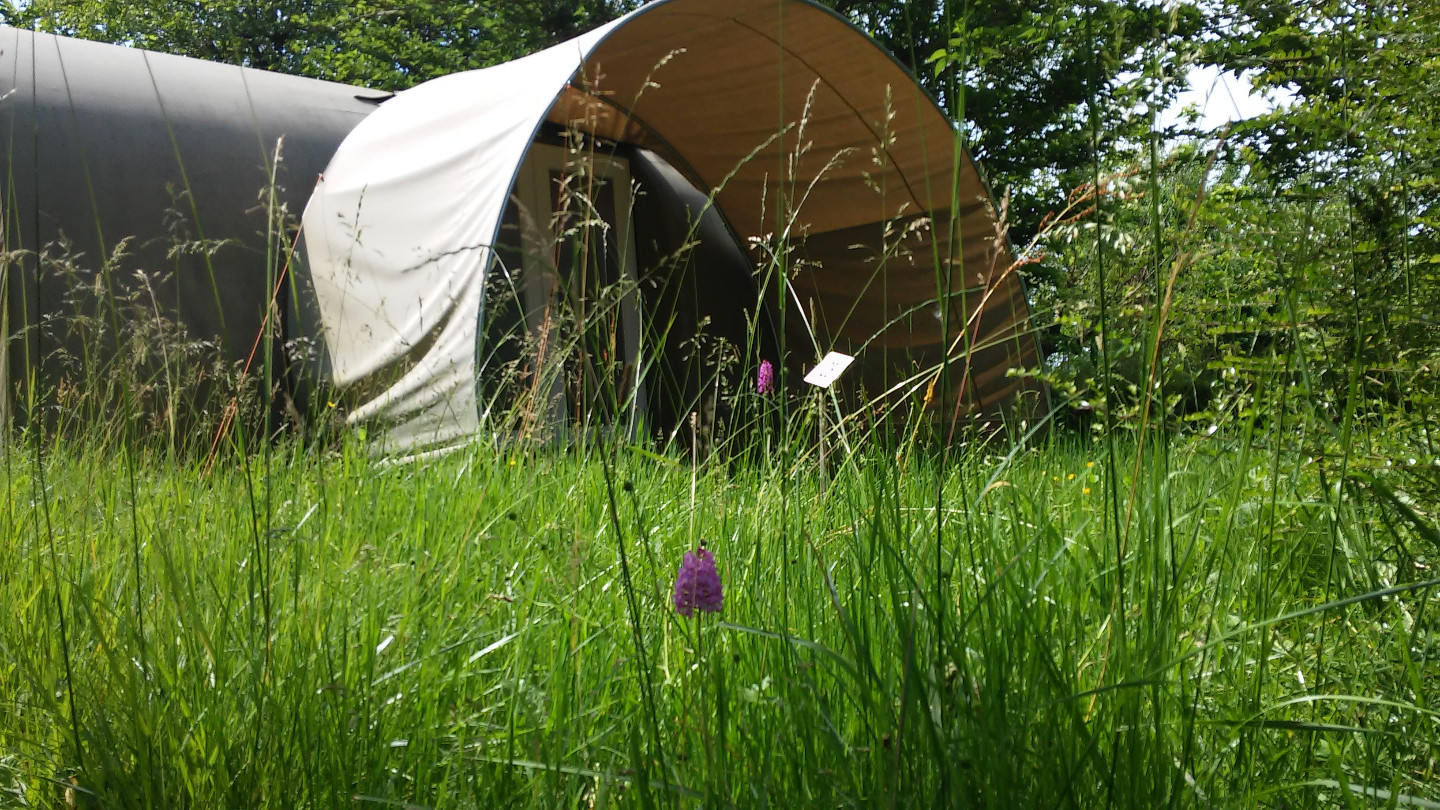orderedImageAlt_accommodation_default