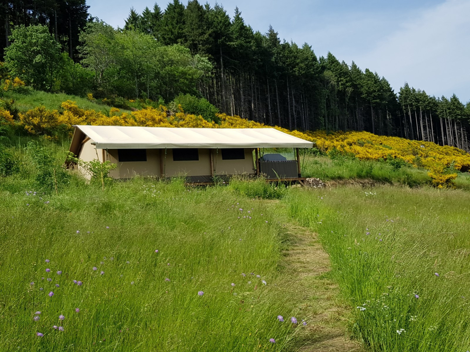 orderedImageAlt_accommodation_default