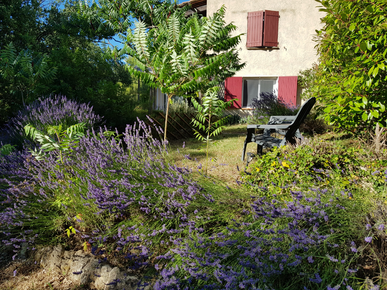 Vaucluse Romantique