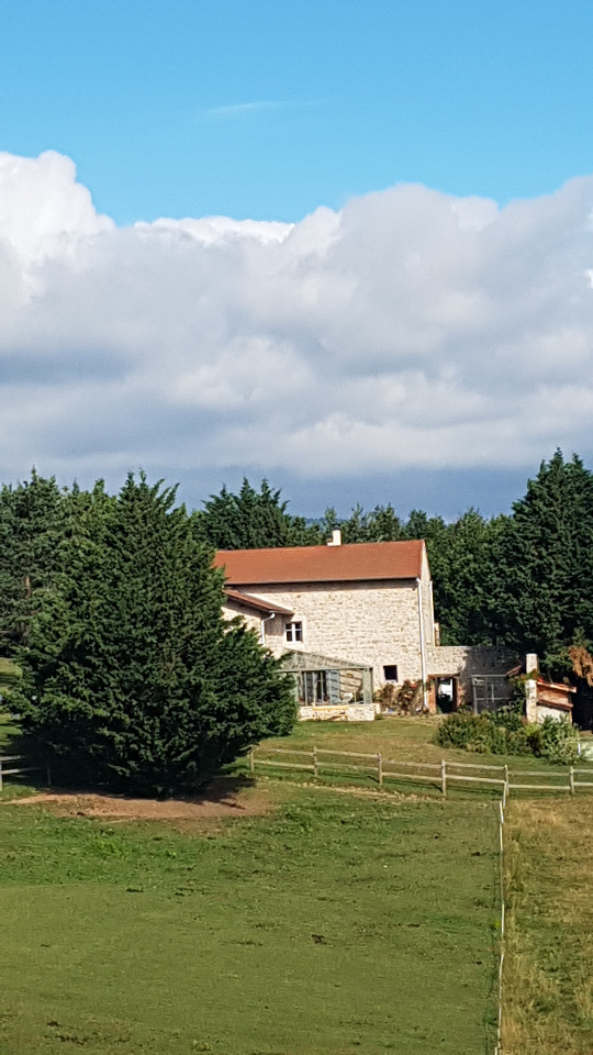Logement GreenGo: Chambre d'hotes de Raseaux