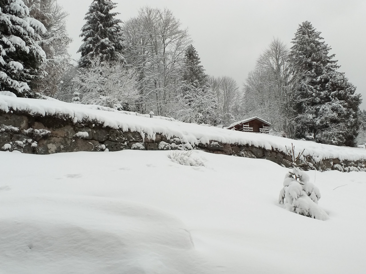 GreenGo L'Instant Chalet Lodge 17