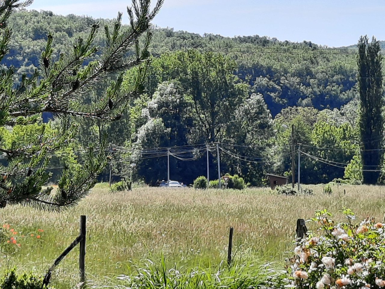  Dordogne À la campagne