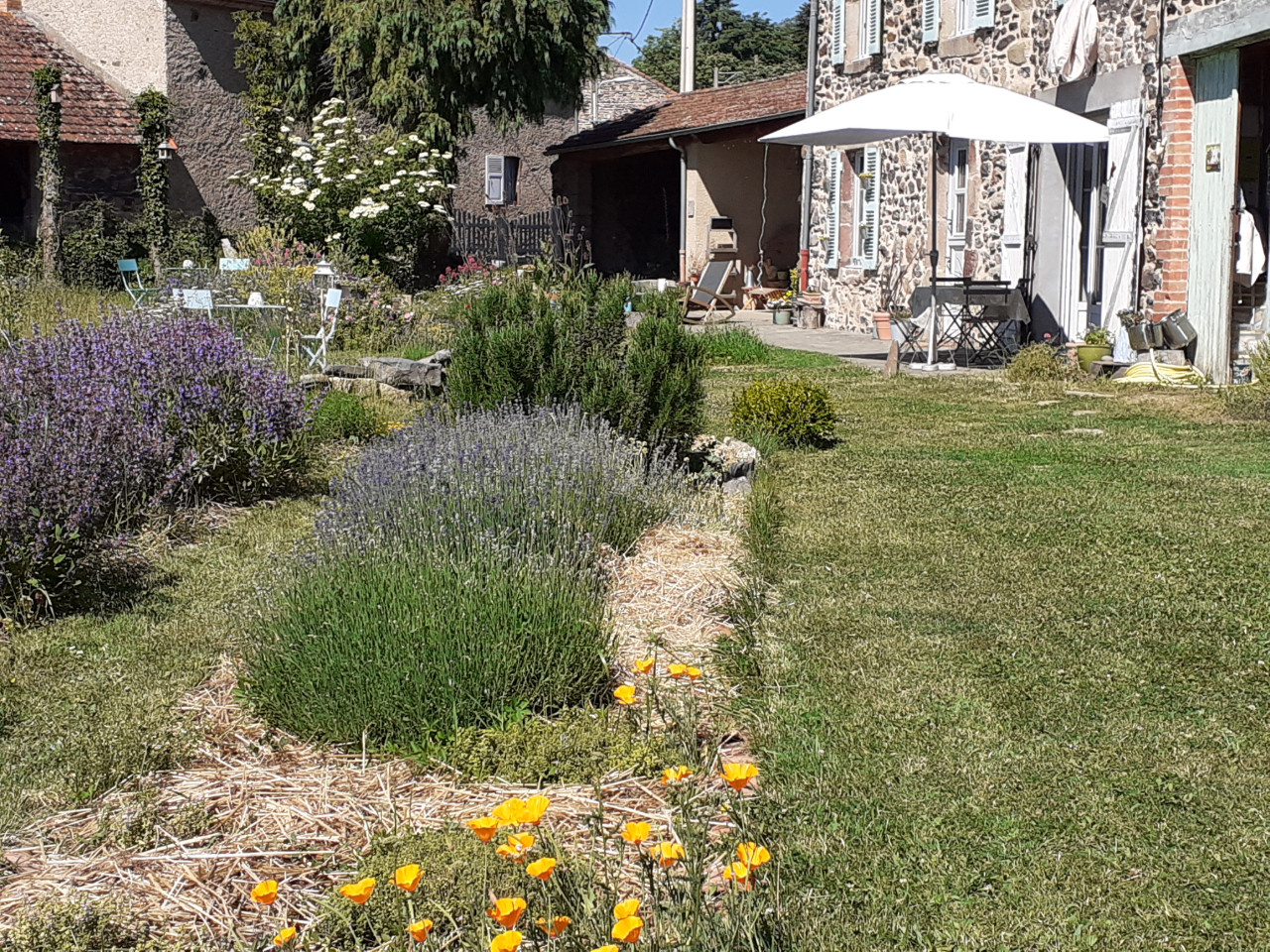 GreenGo location vacances écoresponsables
