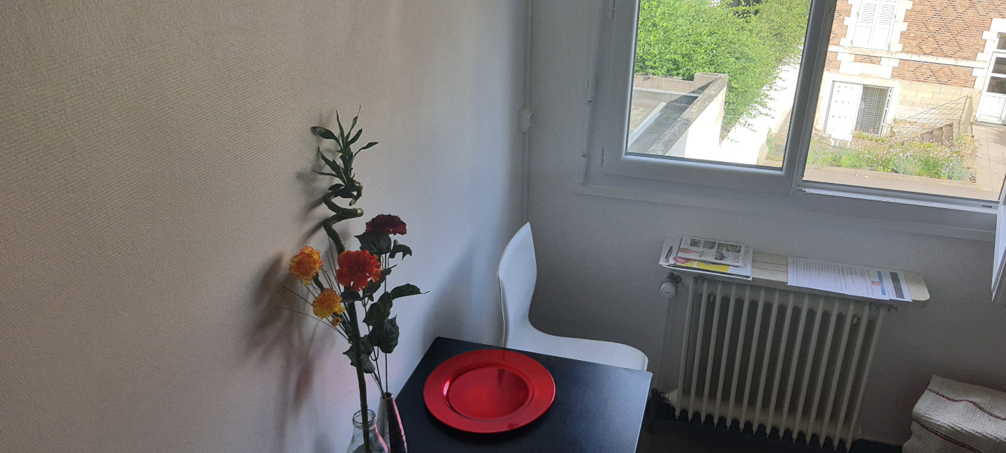 GreenGo Studio Chambre Moulins 03000- Allier-Bourbonnais.