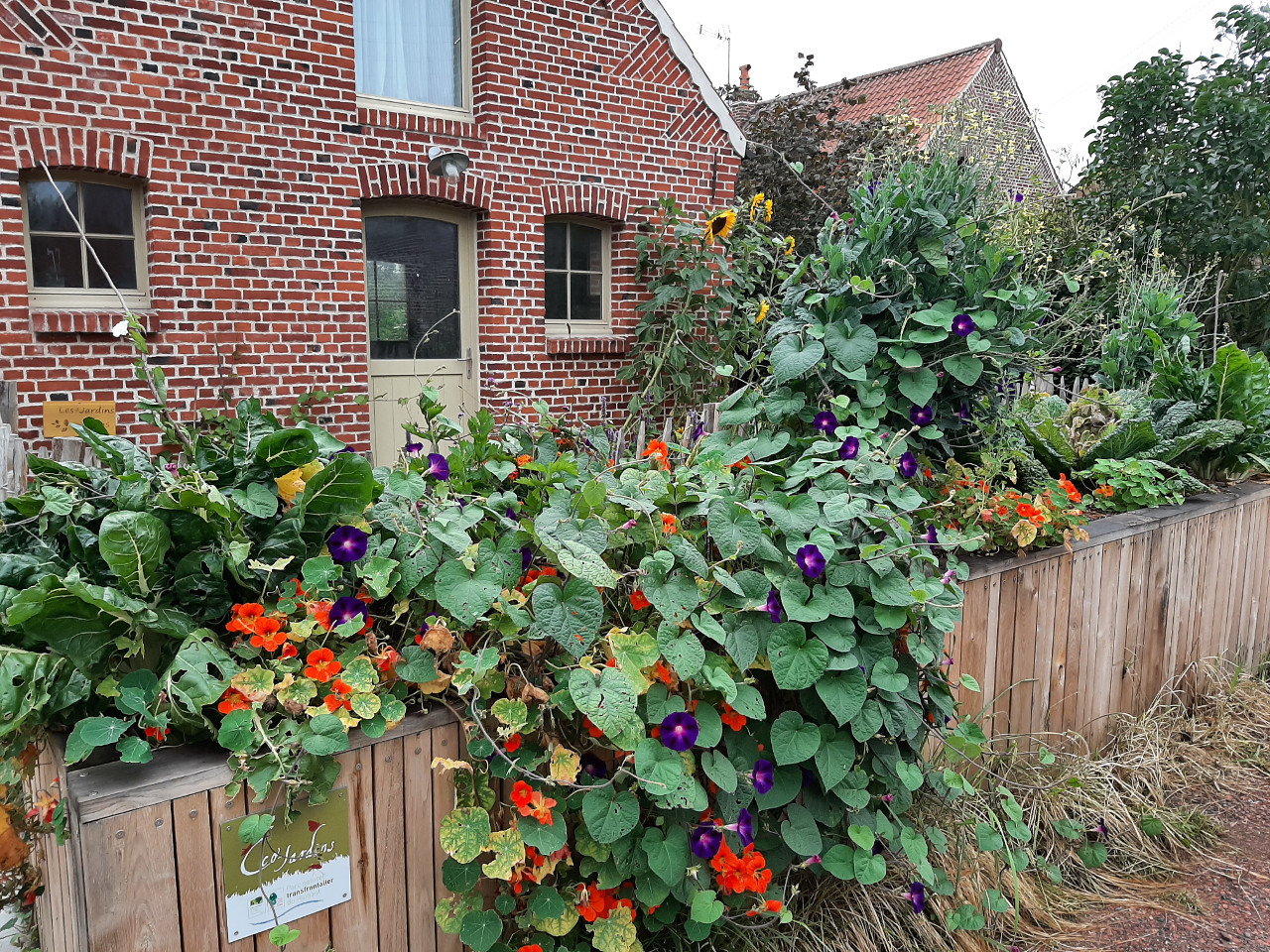Logement GreenGo: Les Jardins d'Olus