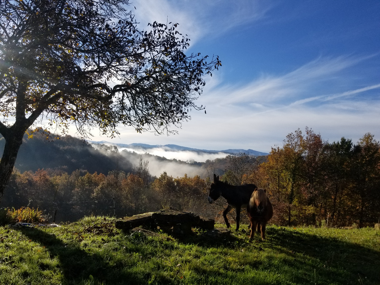 Gîte de Marioune avec vue..!