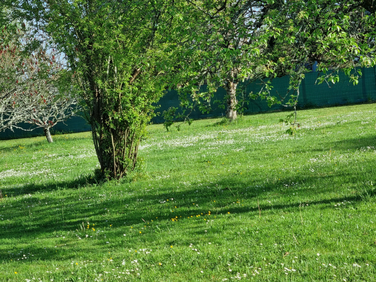 Les 3 Cèdres