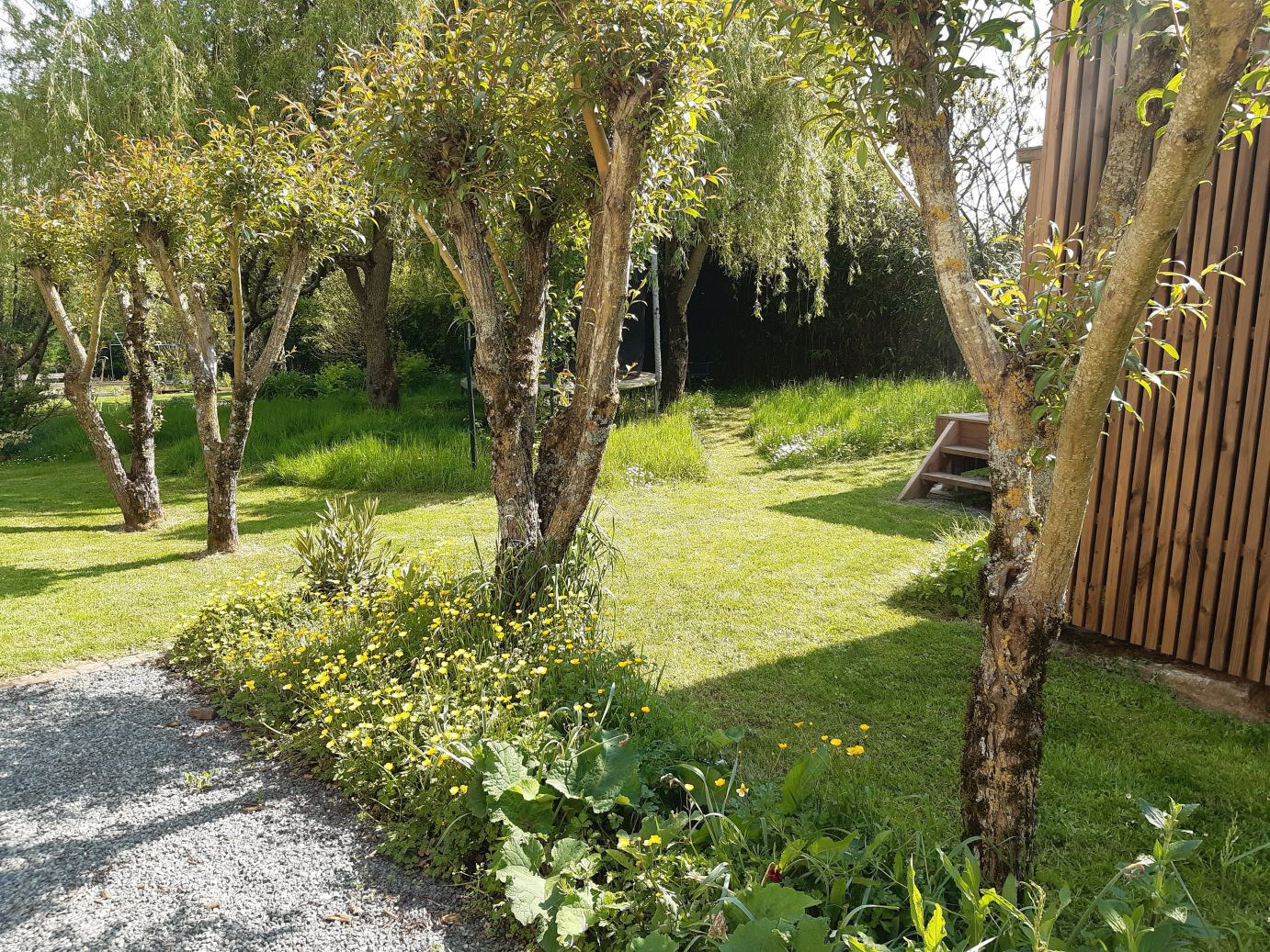 GreenGo Studio en bois avec grand jardin