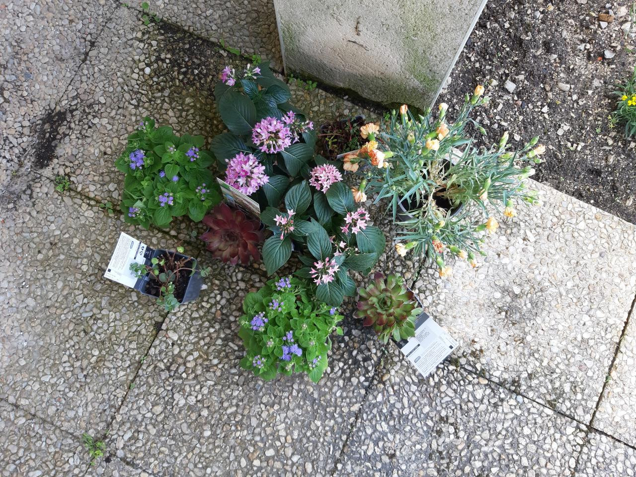 Charente À la campagne