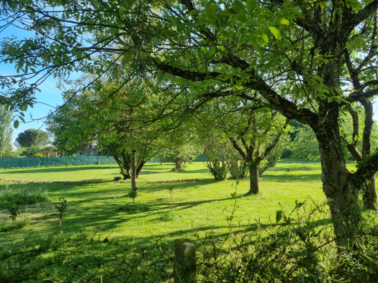 GreenGo location vacances écoresponsables